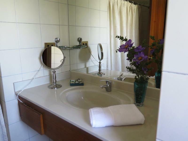 Renta Suite Menorca Santiago de Chile Eksteriør billede